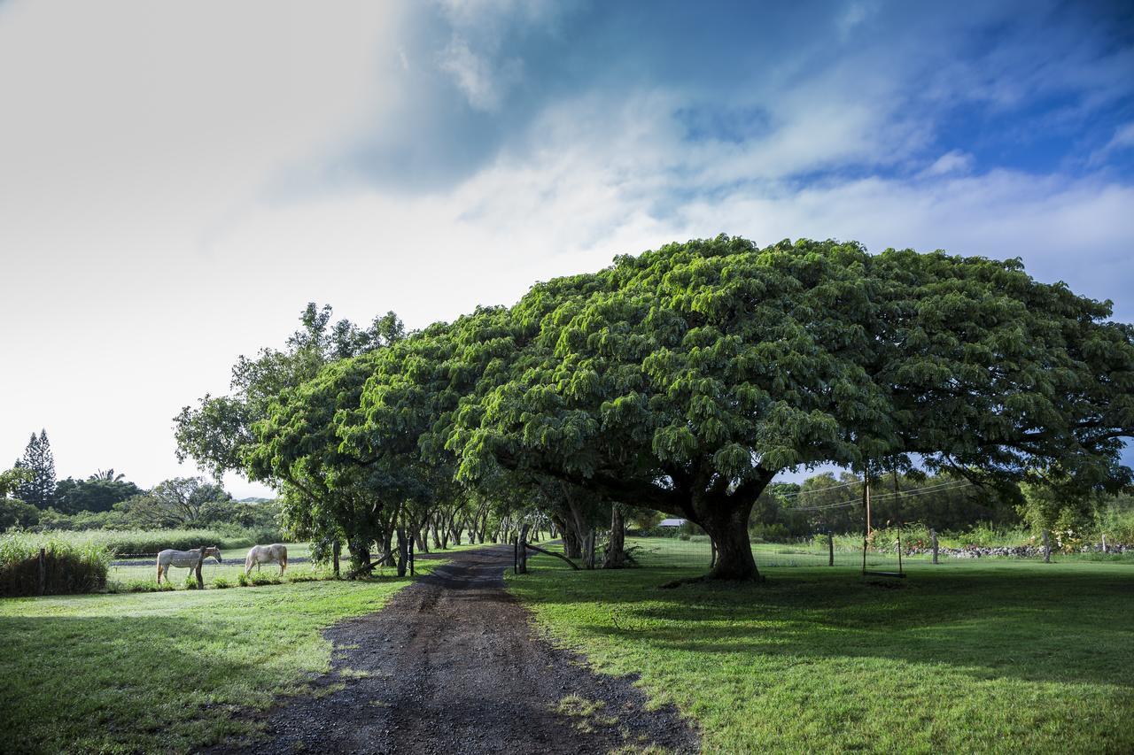 Puakea Ranch Hotel Hawi Exterior photo